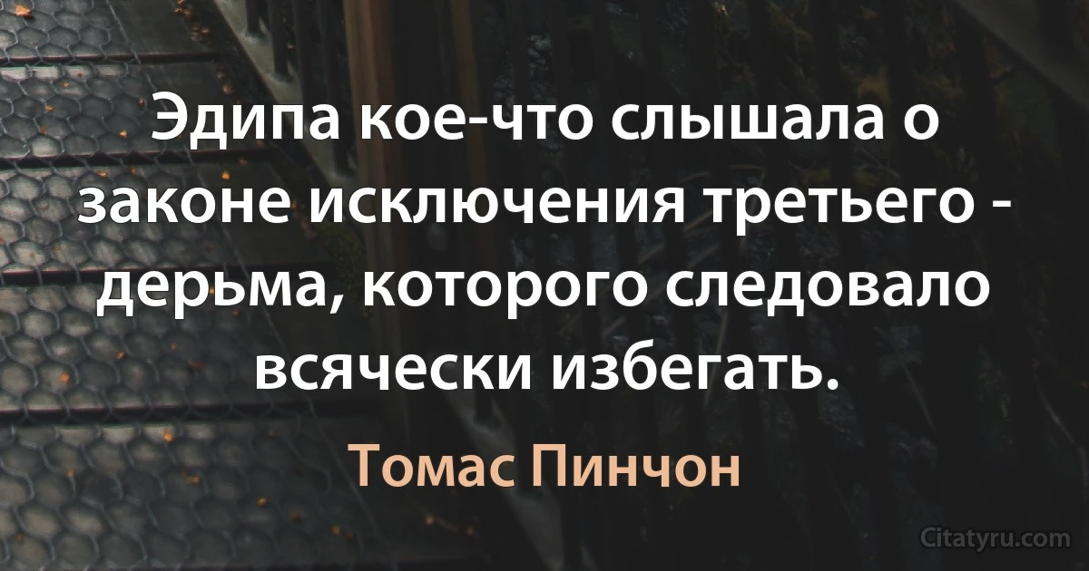 Эдипа кое-что слышала о законе исключения третьего - дерьма, которого следовало всячески избегать. (Томас Пинчон)