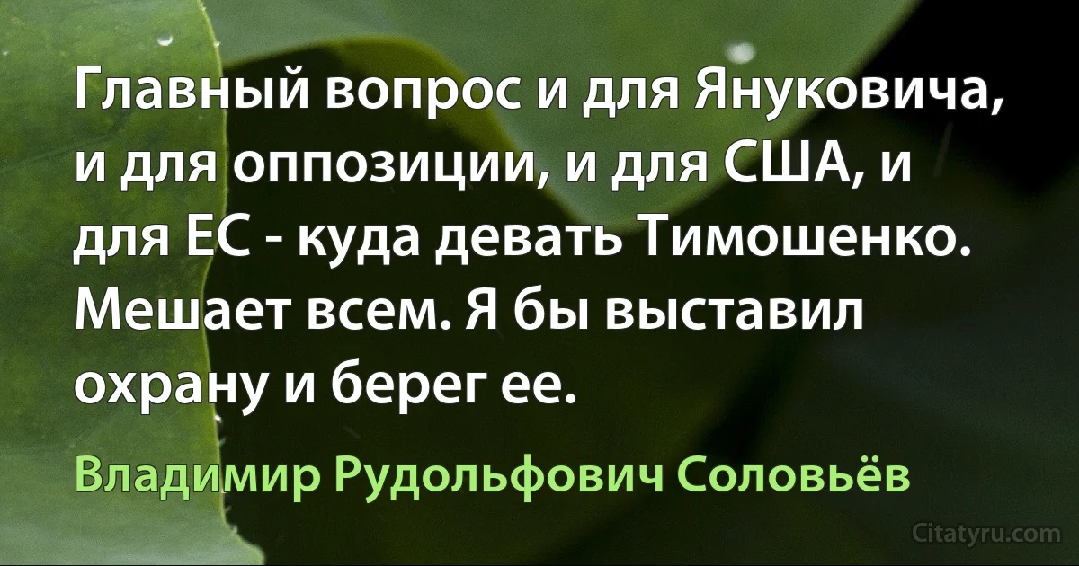 Главный вопрос и для Януковича, и для оппозиции, и для США, и для ЕС - куда девать Тимошенко. Мешает всем. Я бы выставил охрану и берег ее. (Владимир Рудольфович Соловьёв)