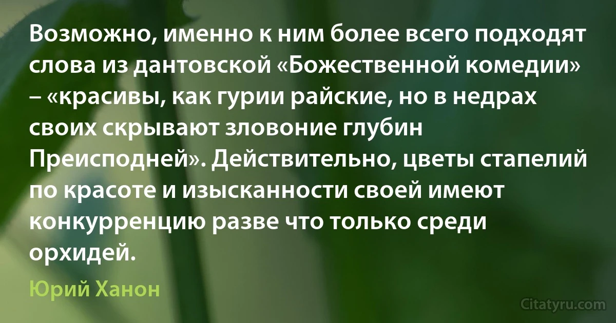 Возможно, именно к ним более всего подходят слова из дантовской «Божественной комедии» – «красивы, как гурии райские, но в недрах своих скрывают зловоние глубин Преисподней». Действительно, цветы стапелий по красоте и изысканности своей имеют конкурренцию разве что только среди орхидей. (Юрий Ханон)