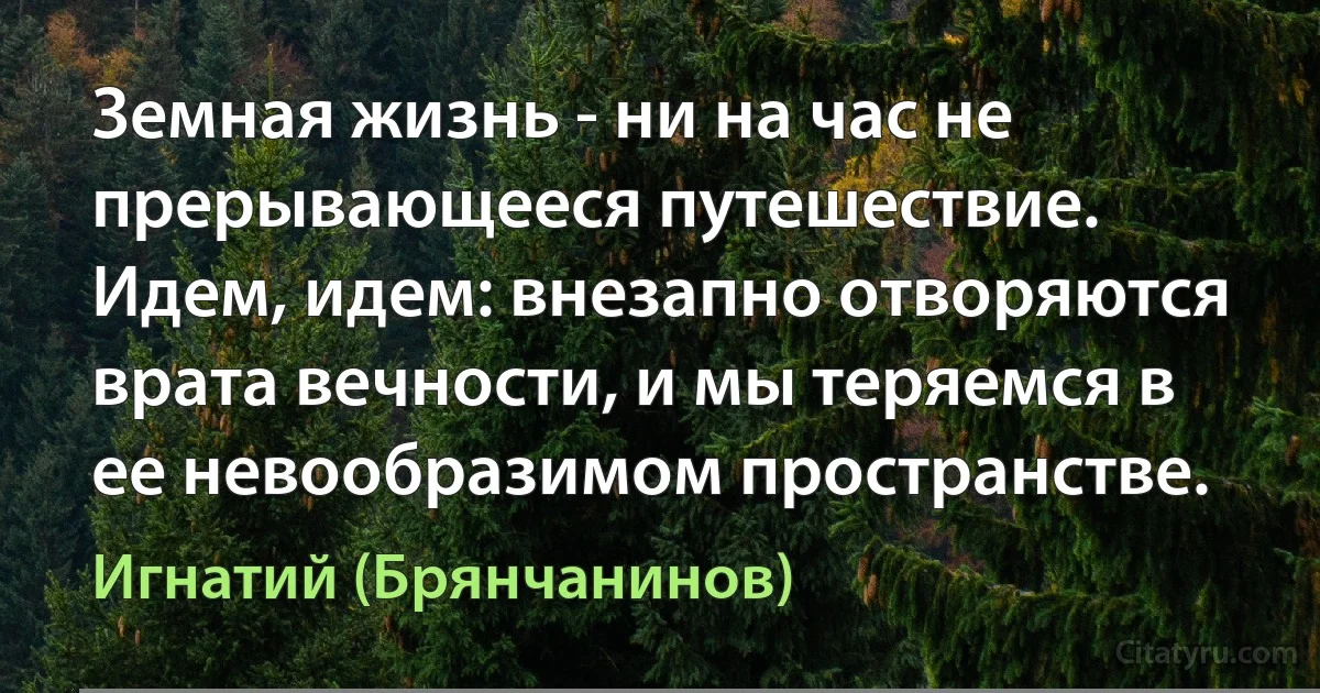 Земная жизнь - ни на час не прерывающееся путешествие. Идем, идем: внезапно отворяются врата вечности, и мы теряемся в ее невообразимом пространстве. (Игнатий (Брянчанинов))