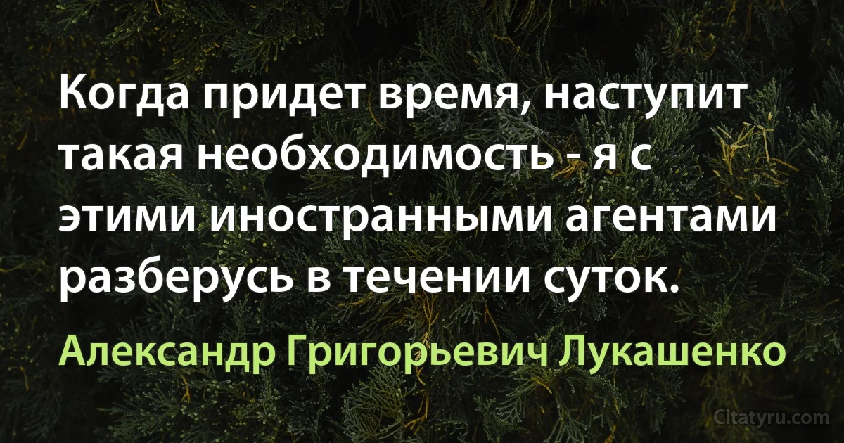 Когда придет время, наступит такая необходимость - я с этими иностранными агентами разберусь в течении суток. (Александр Григорьевич Лукашенко)