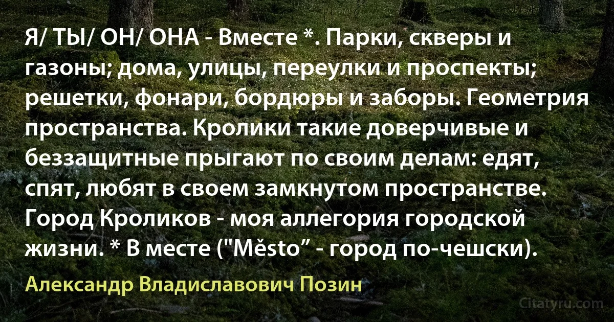 Я/ ТЫ/ ОН/ ОНА - Вместе *. Парки, скверы и газоны; дома, улицы, переулки и проспекты; решетки, фонари, бордюры и заборы. Геометрия пространства. Кролики такие доверчивые и беззащитные прыгают по своим делам: едят, спят, любят в своем замкнутом пространстве. Город Кроликов - моя аллегория городской жизни. * В месте ("Město” - город по-чешски). (Александр Владиславович Позин)