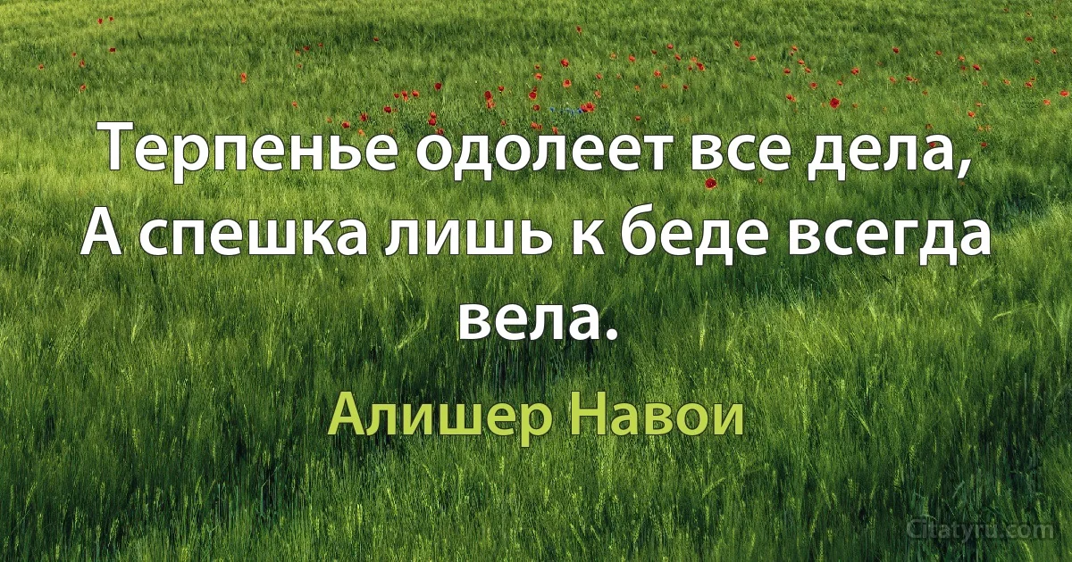 Терпенье одолеет все дела,
А спешка лишь к беде всегда вела. (Алишер Навои)