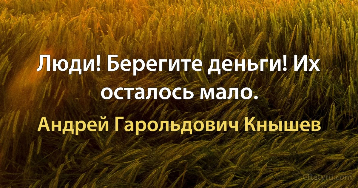 Люди! Берегите деньги! Их осталось мало. (Андрей Гарольдович Кнышев)