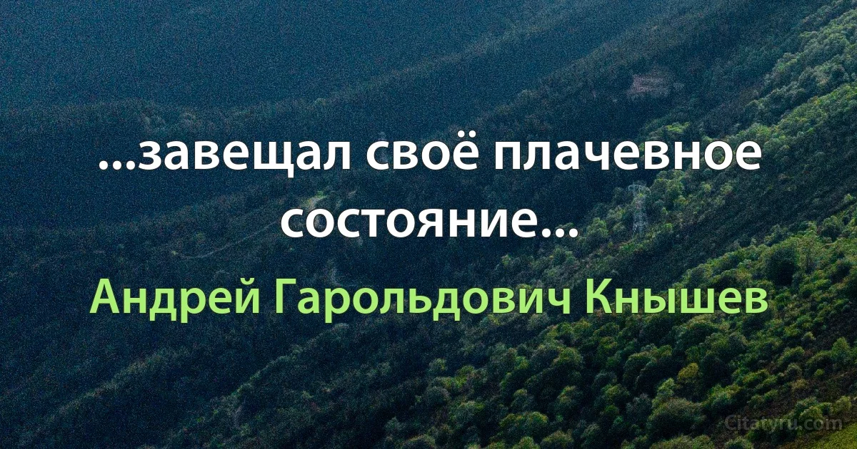 ...завещал своё плачевное состояние... (Андрей Гарольдович Кнышев)