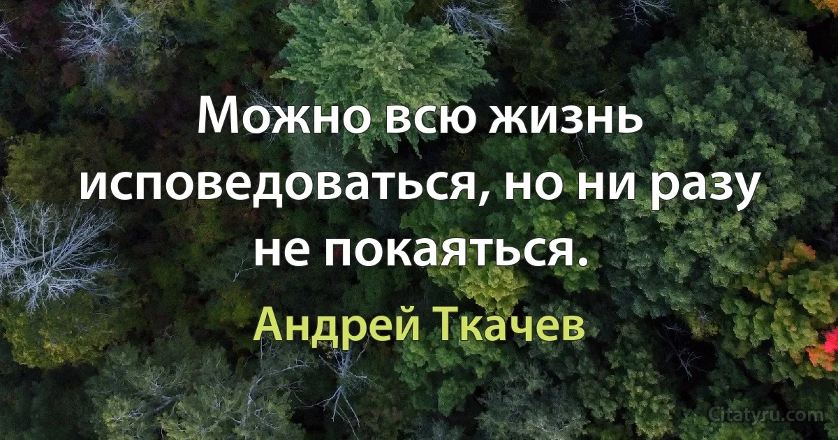 Можно всю жизнь исповедоваться, но ни разу не покаяться. (Андрей Ткачев)