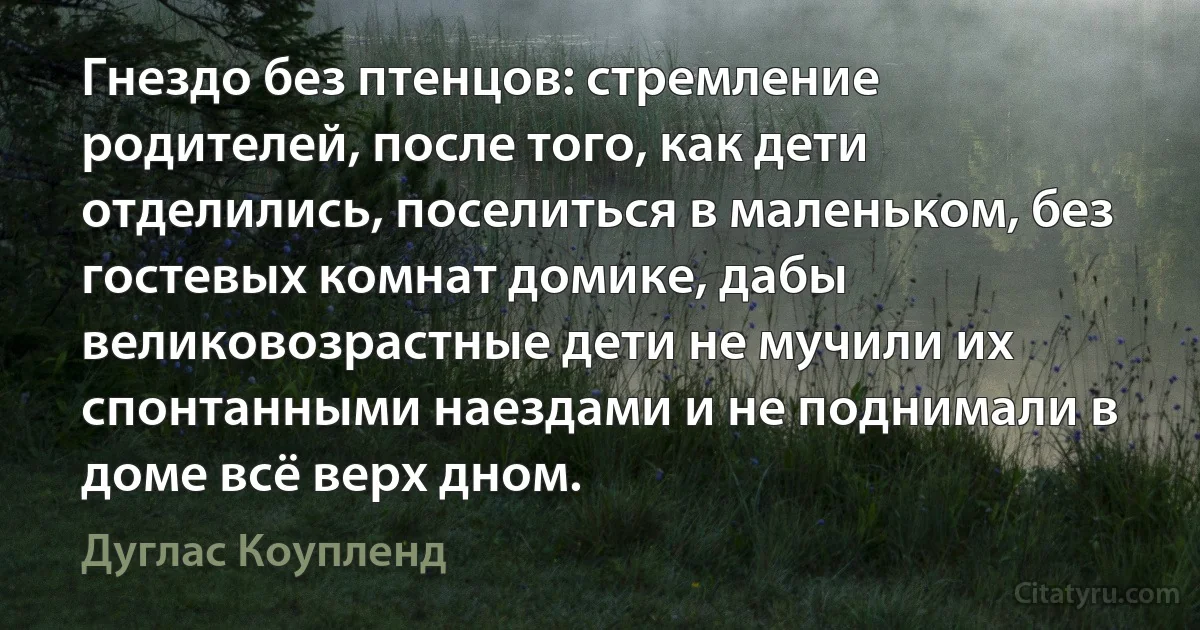 Гнездо без птенцов: стремление родителей, после того, как дети отделились, поселиться в маленьком, без гостевых комнат домике, дабы великовозрастные дети не мучили их спонтанными наездами и не поднимали в доме всё верх дном. (Дуглас Коупленд)