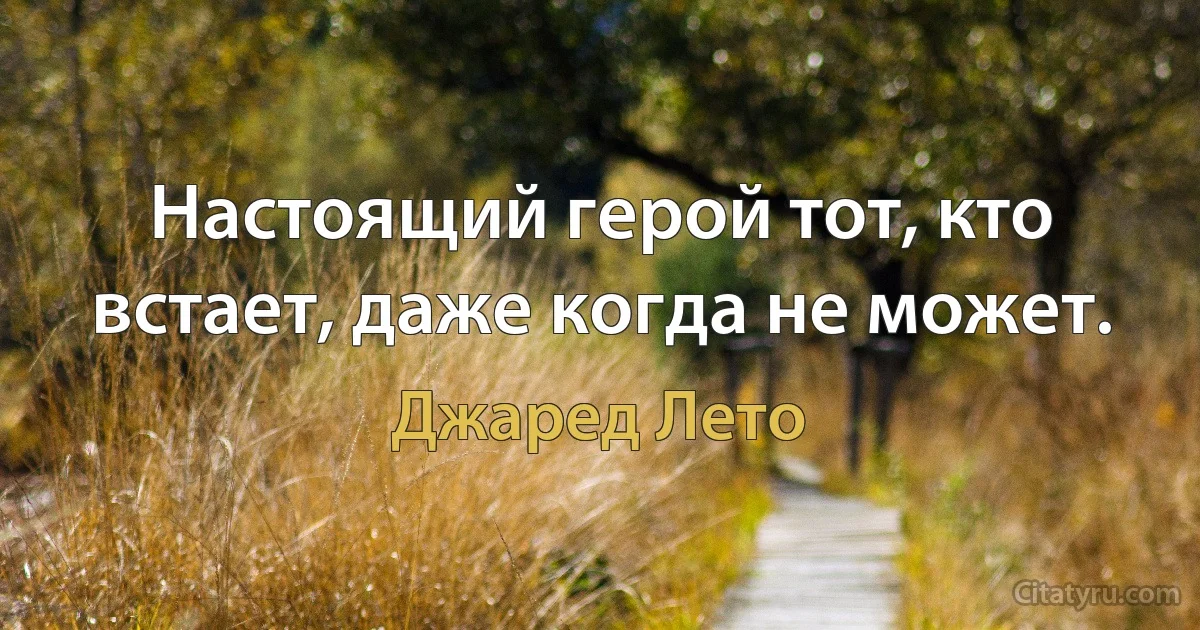 Настоящий герой тот, кто встает, даже когда не может. (Джаред Лето)