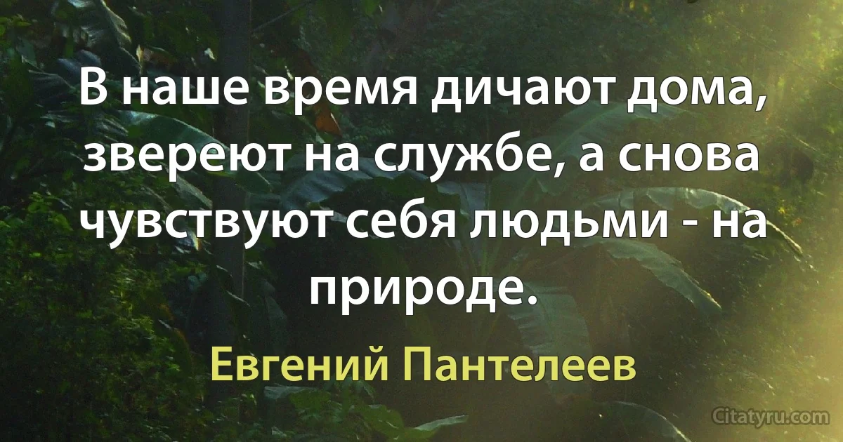 В наше время дичают дома, звереют на службе, а снова чувствуют себя людьми - на природе. (Евгений Пантелеев)