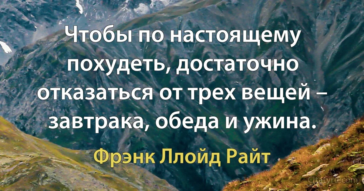 Чтобы по настоящему похудеть, достаточно отказаться от трех вещей – завтрака, обеда и ужина. (Фрэнк Ллойд Райт)