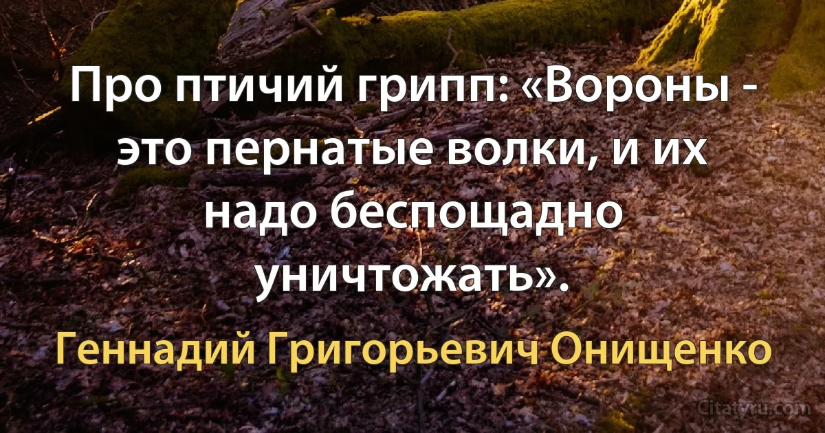 Про птичий грипп: «Вороны - это пернатые волки, и их надо беспощадно уничтожать». (Геннадий Григорьевич Онищенко)