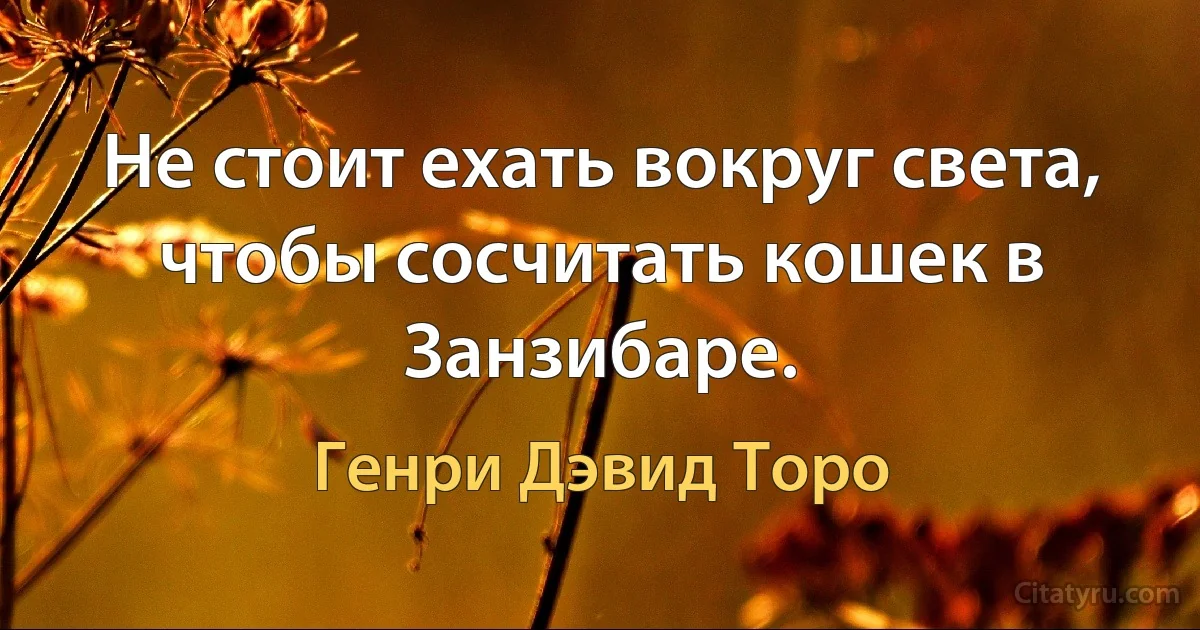 Не стоит ехать вокруг света, чтобы сосчитать кошек в Занзибаре. (Генри Дэвид Торо)