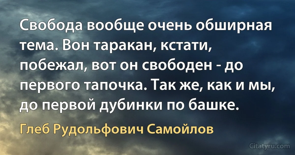 Свобода вообще очень обширная тема. Вон таракан, кстати, побежал, вот он свободен - до первого тапочка. Так же, как и мы, до первой дубинки по башке. (Глеб Рудольфович Самойлов)