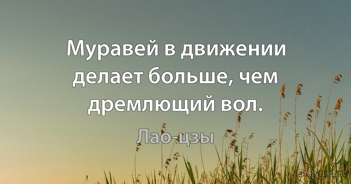 Муравей в движении делает больше, чем дремлющий вол. (Лао-цзы)