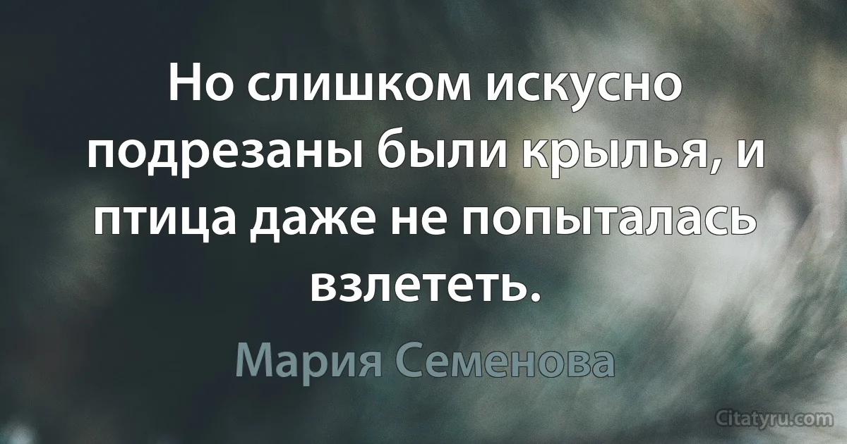 Но слишком искусно подрезаны были крылья, и птица даже не попыталась взлететь. (Мария Семенова)