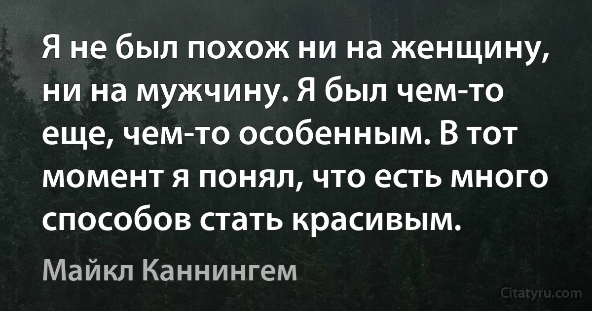 Я не был похож ни на женщину, ни на мужчину. Я был чем-то еще, чем-то особенным. В тот момент я понял, что есть много способов стать красивым. (Майкл Каннингем)