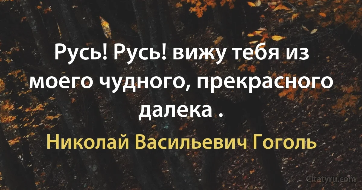 Русь! Русь! вижу тебя из моего чудного, прекрасного далека . (Николай Васильевич Гоголь)