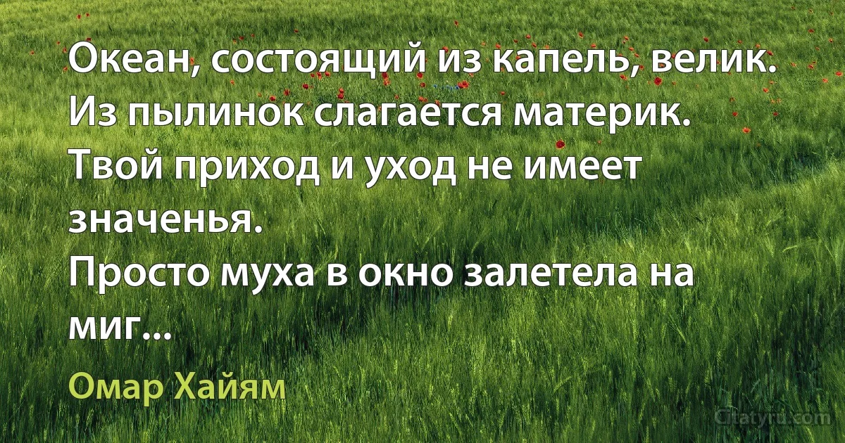 Океан, состоящий из капель, велик.
Из пылинок слагается материк.
Твой приход и уход не имеет значенья.
Просто муха в окно залетела на миг... (Омар Хайям)