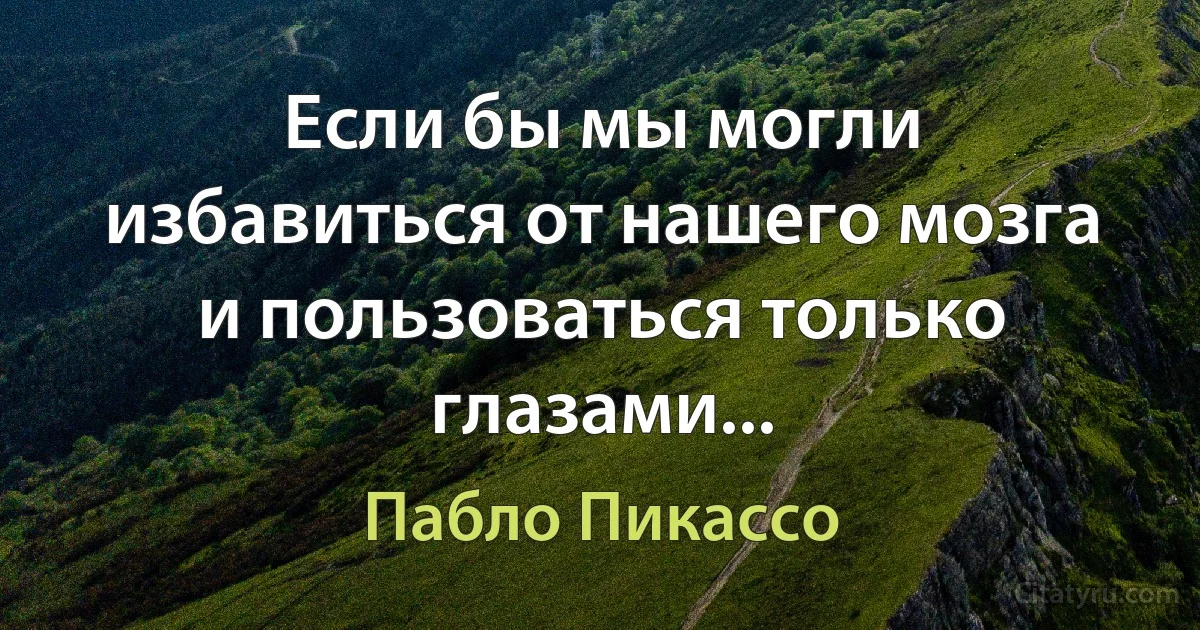 Если бы мы могли избавиться от нашего мозга и пользоваться только глазами... (Пабло Пикассо)