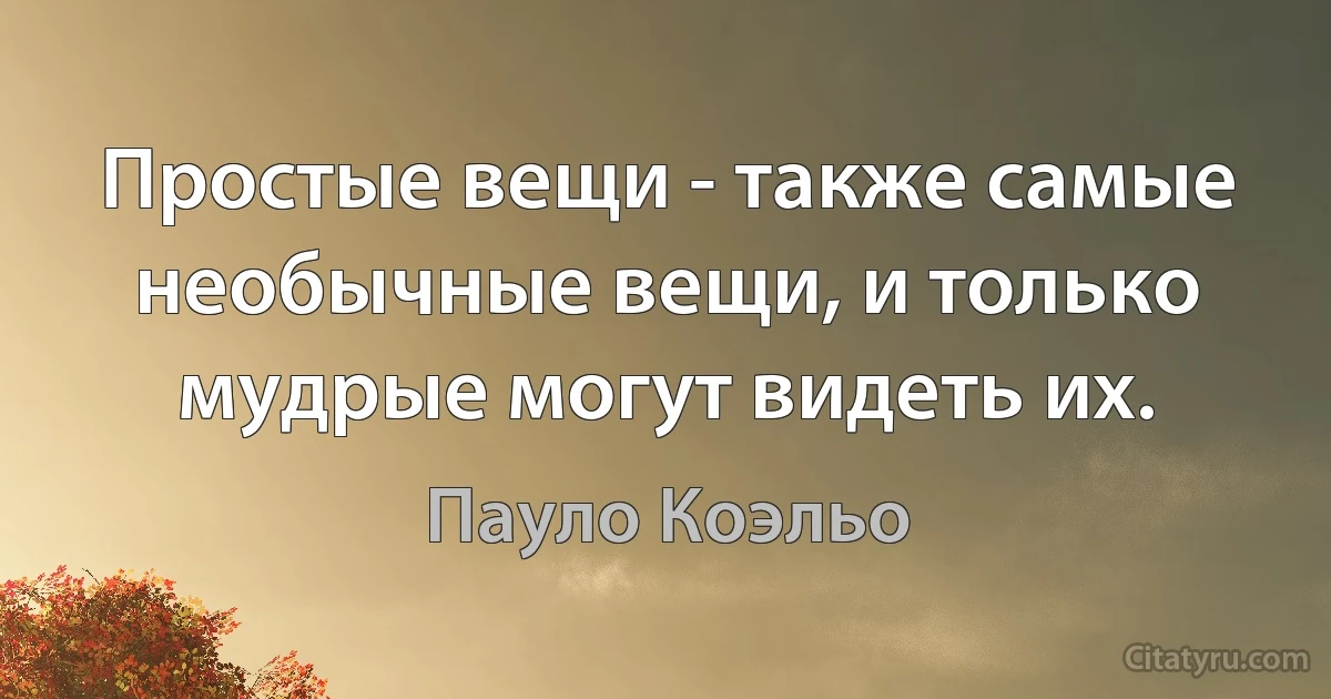 Простые вещи - также самые необычные вещи, и только мудрые могут видеть их. (Пауло Коэльо)