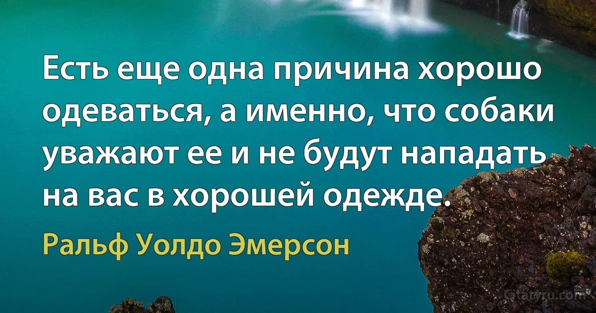 Есть еще одна причина хорошо одеваться, а именно, что собаки уважают ее и не будут нападать на вас в хорошей одежде. (Ральф Уолдо Эмерсон)