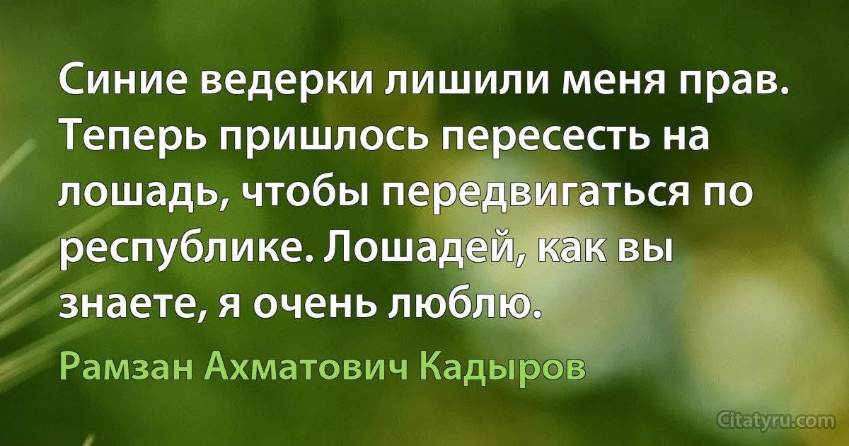 Синие ведерки лишили меня прав. Теперь пришлось пересесть на лошадь, чтобы передвигаться по республике. Лошадей, как вы знаете, я очень люблю. (Рамзан Ахматович Кадыров)