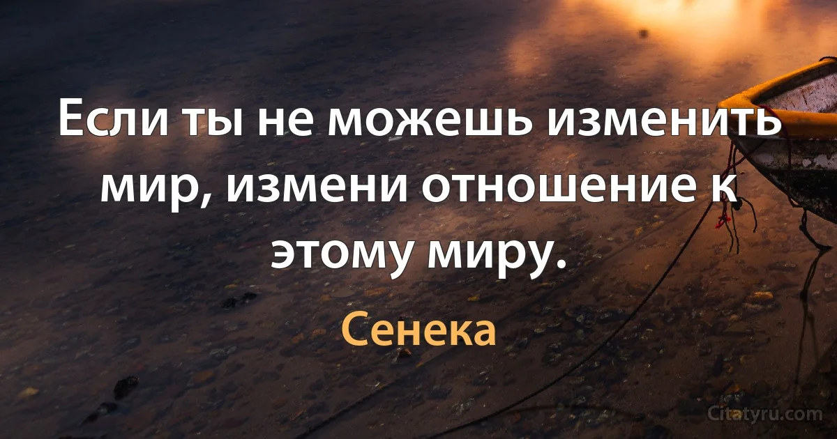 Если ты не можешь изменить мир, измени отношение к этому миру. (Сенека)