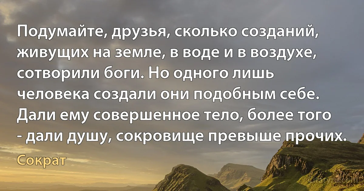 Подумайте, друзья, сколько созданий, живущих на земле, в воде и в воздухе, сотворили боги. Но одного лишь человека создали они подобным себе. Дали ему совершенное тело, более того - дали душу, сокровище превыше прочих. (Сократ)