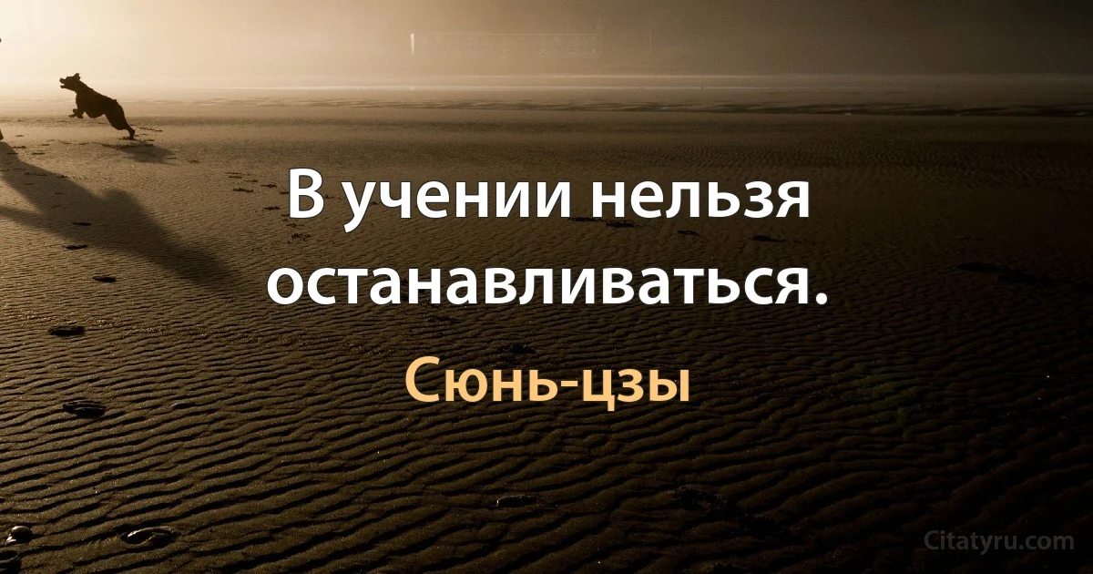 В учении нельзя останавливаться. (Сюнь-цзы)