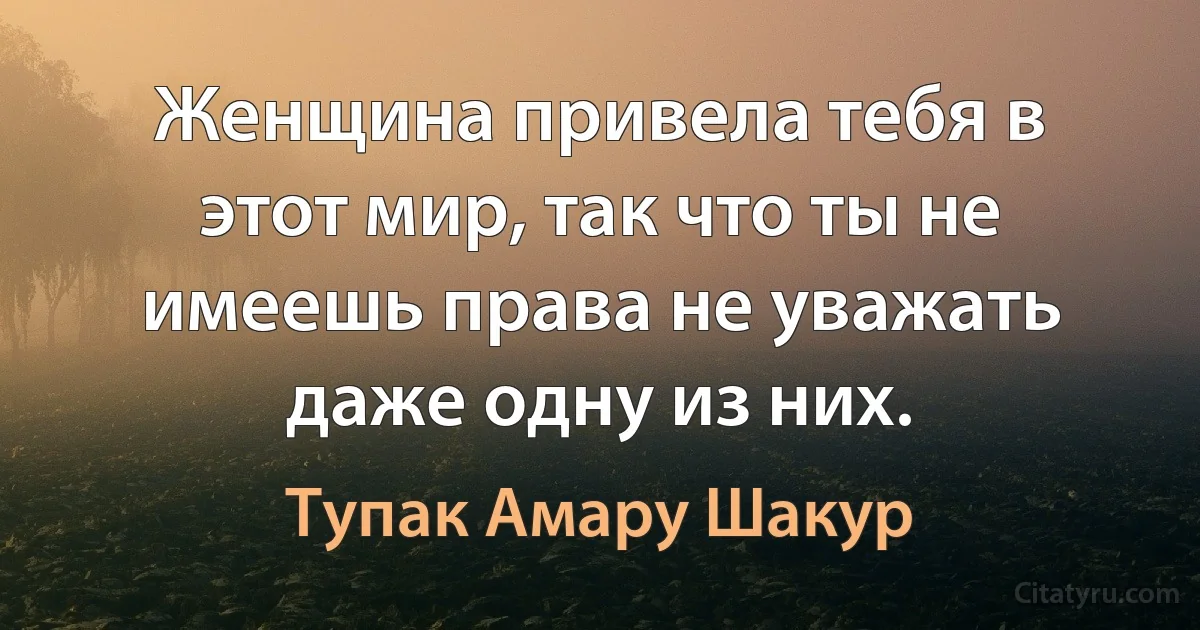 Женщина привела тебя в этот мир, так что ты не имеешь права не уважать даже одну из них. (Тупак Амару Шакур)