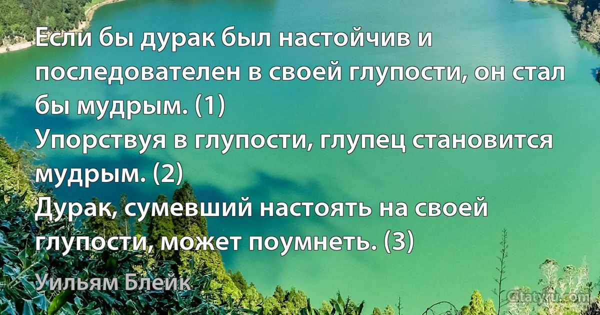 Если бы дурак был настойчив и последователен в своей глупости, он стал бы мудрым. (1)
Упорствуя в глупости, глупец становится мудрым. (2)
Дурак, сумевший настоять на своей глупости, может поумнеть. (3) (Уильям Блейк)