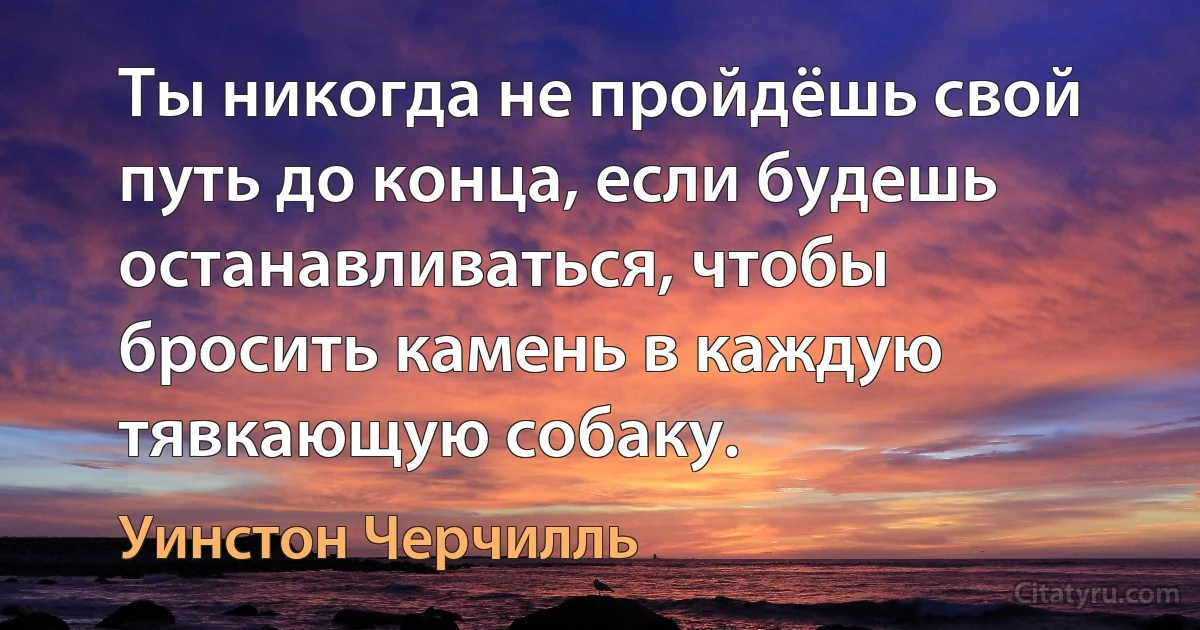 Ты никогда не пройдёшь свой путь до конца, если будешь останавливаться, чтобы бросить камень в каждую тявкающую собаку. (Уинстон Черчилль)