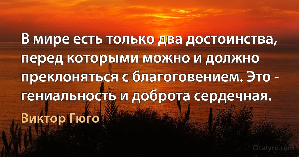 В мире есть только два достоинства, перед которыми можно и должно преклоняться с благоговением. Это - гениальность и доброта сердечная. (Виктор Гюго)