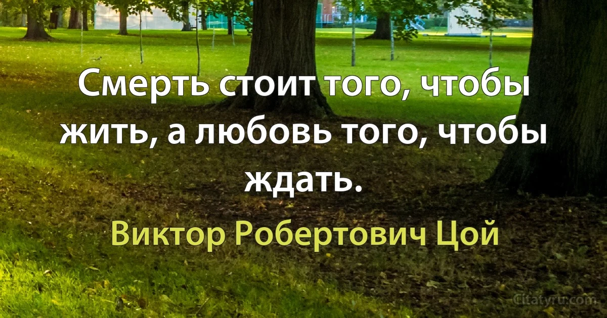 Смерть стоит того, чтобы жить, а любовь того, чтобы ждать. (Виктор Робертович Цой)