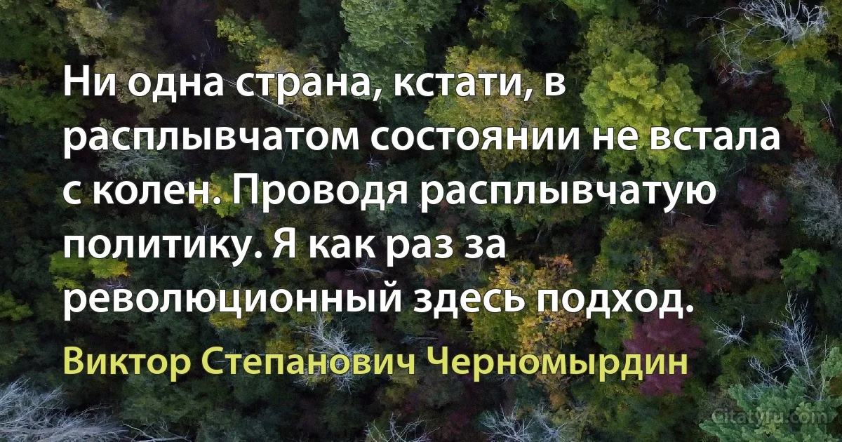 Ни одна страна, кстати, в расплывчатом состоянии не встала с колен. Проводя расплывчатую политику. Я как раз за революционный здесь подход. (Виктор Степанович Черномырдин)