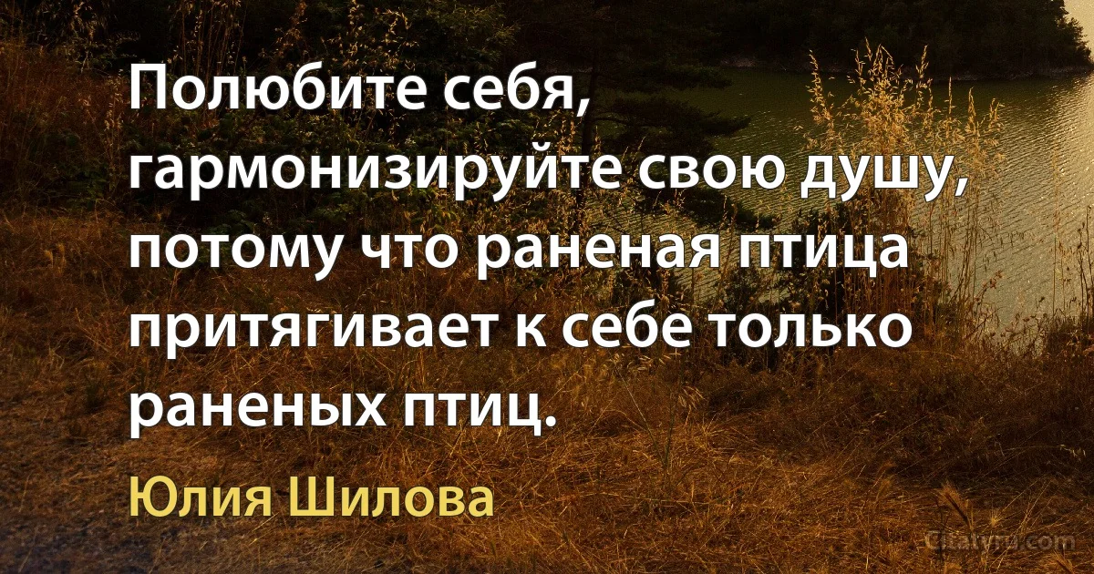 Полюбите себя, гармонизируйте свою душу, потому что раненая птица притягивает к себе только раненых птиц. (Юлия Шилова)