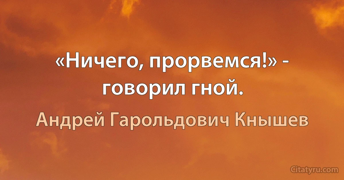 «Ничего, прорвемся!» - говорил гной. (Андрей Гарольдович Кнышев)