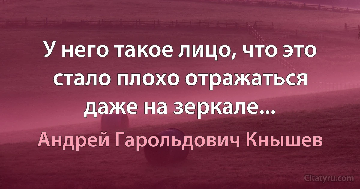 У него такое лицо, что это стало плохо отражаться даже на зеркале... (Андрей Гарольдович Кнышев)