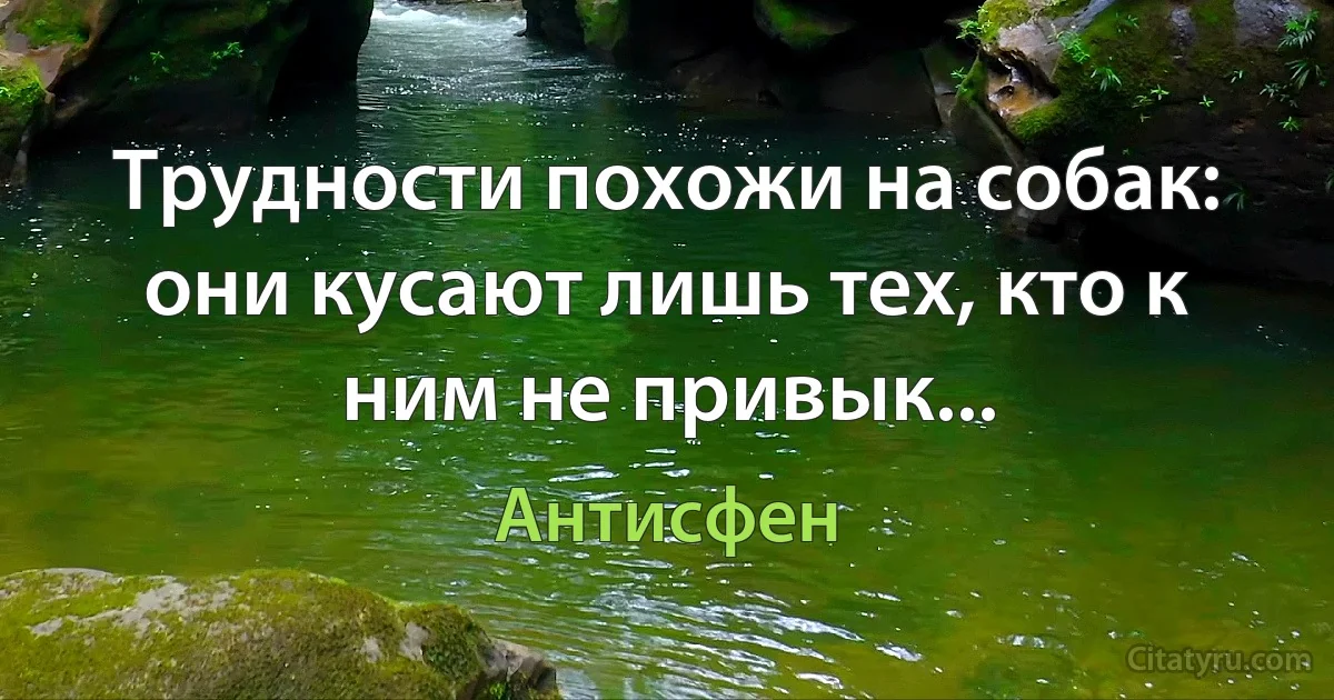 Трудности похожи на собак: они кусают лишь тех, кто к ним не привык... (Антисфен)