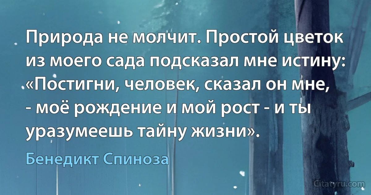 Природа не молчит. Простой цветок из моего сада подсказал мне истину:
«Постигни, человек, сказал он мне, - моё рождение и мой рост - и ты уразумеешь тайну жизни». (Бенедикт Спиноза)