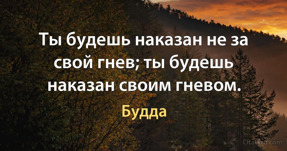 Ты будешь наказан не за свой гнев; ты будешь наказан своим гневом. (Будда)