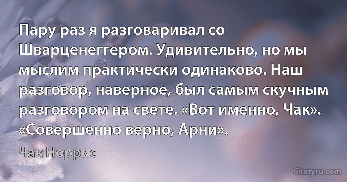 Пару раз я разговаривал со Шварценеггером. Удивительно, но мы мыслим практически одинаково. Наш разговор, наверное, был самым скучным разговором на свете. «Вот именно, Чак». «Совершенно верно, Арни». (Чак Норрис)