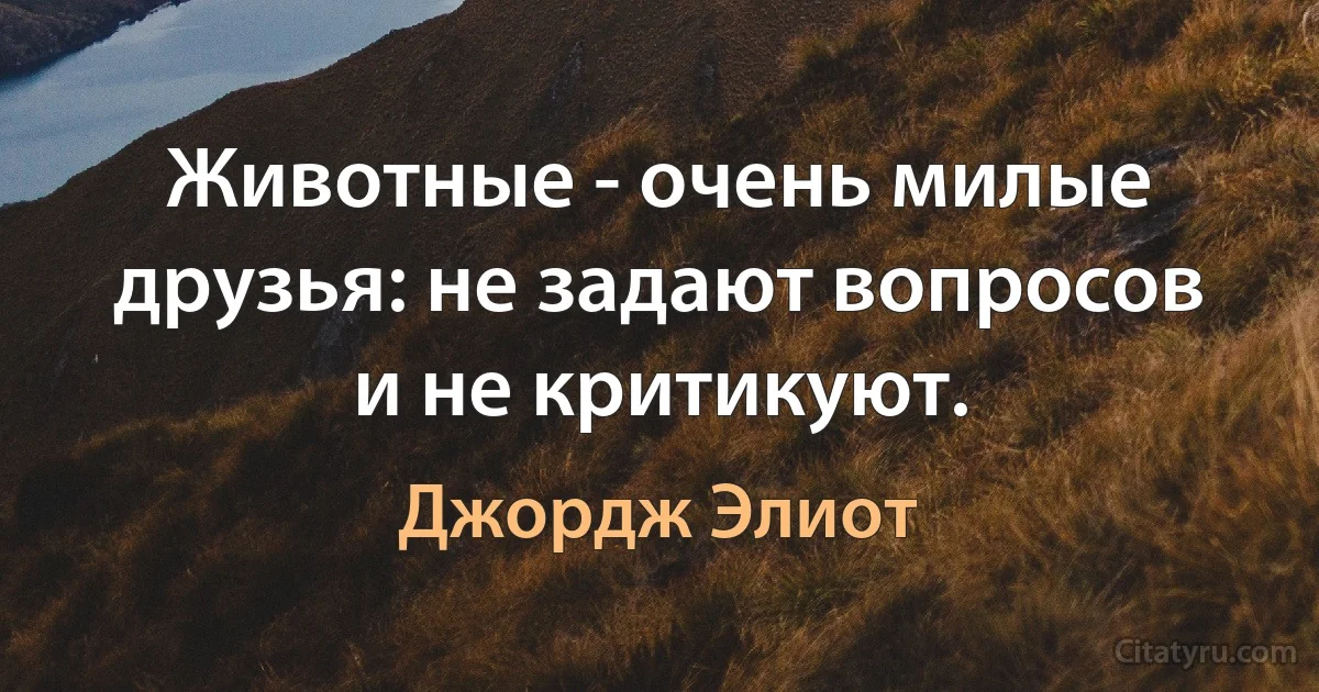 Животные - очень милые друзья: не задают вопросов и не критикуют. (Джордж Элиот)