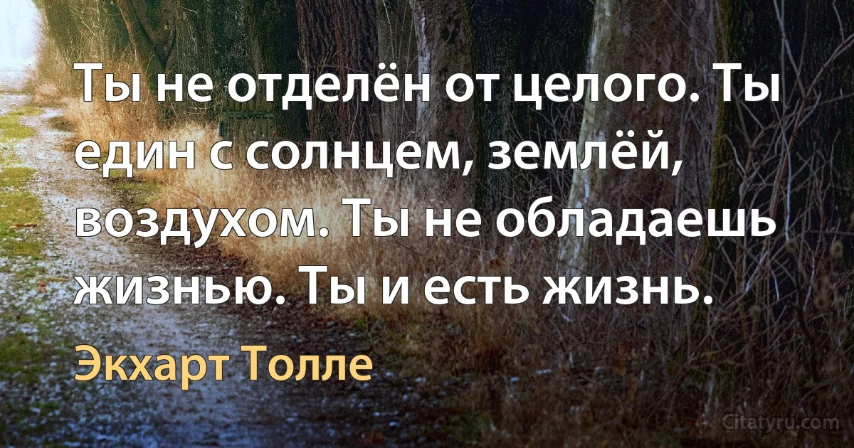 Ты не отделён от целого. Ты един с солнцем, землёй, воздухом. Ты не обладаешь жизнью. Ты и есть жизнь. (Экхарт Толле)