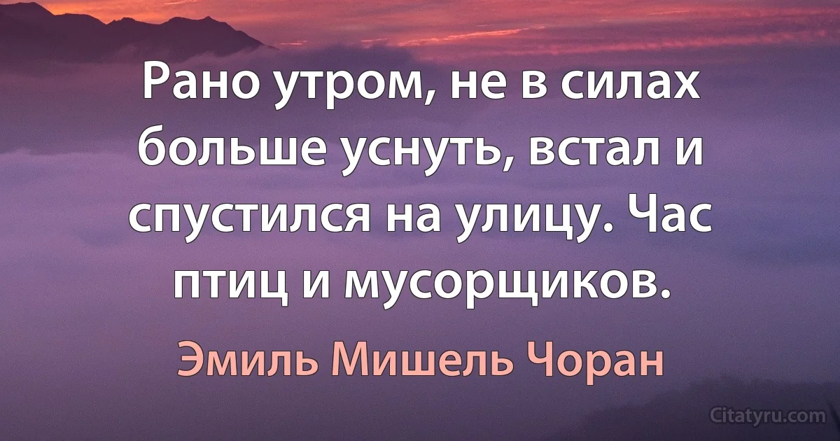 Рано утром, не в силах больше уснуть, встал и спустился на улицу. Час птиц и мусорщиков. (Эмиль Мишель Чоран)