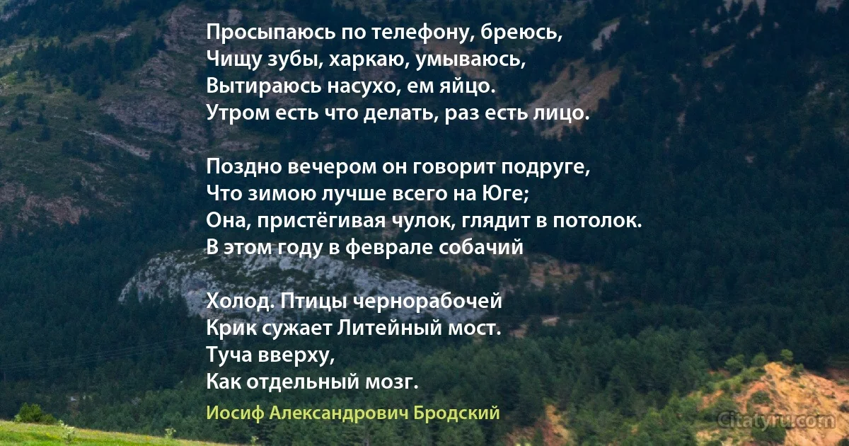 Просыпаюсь по телефону, бреюсь,
Чищу зубы, харкаю, умываюсь,
Вытираюсь насухо, ем яйцо.
Утром есть что делать, раз есть лицо.

Поздно вечером он говорит подруге,
Что зимою лучше всего на Юге;
Она, пристёгивая чулок, глядит в потолок.
В этом году в феврале собачий

Холод. Птицы чернорабочей
Крик сужает Литейный мост.
Туча вверху,
Как отдельный мозг. (Иосиф Александрович Бродский)