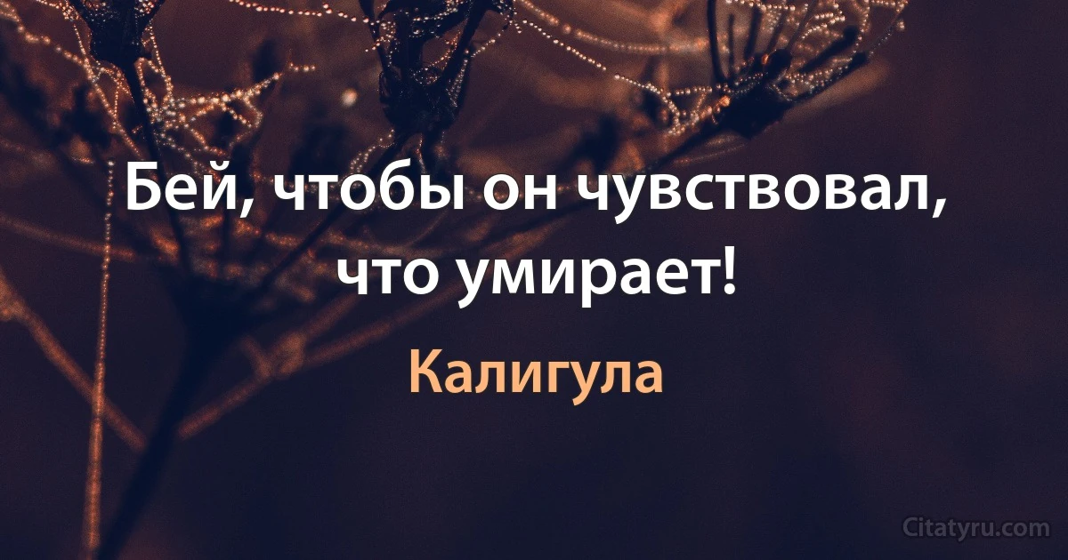 Бей, чтобы он чувствовал, что умирает! (Калигула)