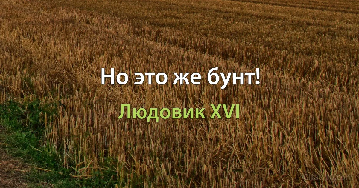 Но это же бунт! (Людовик XVI)