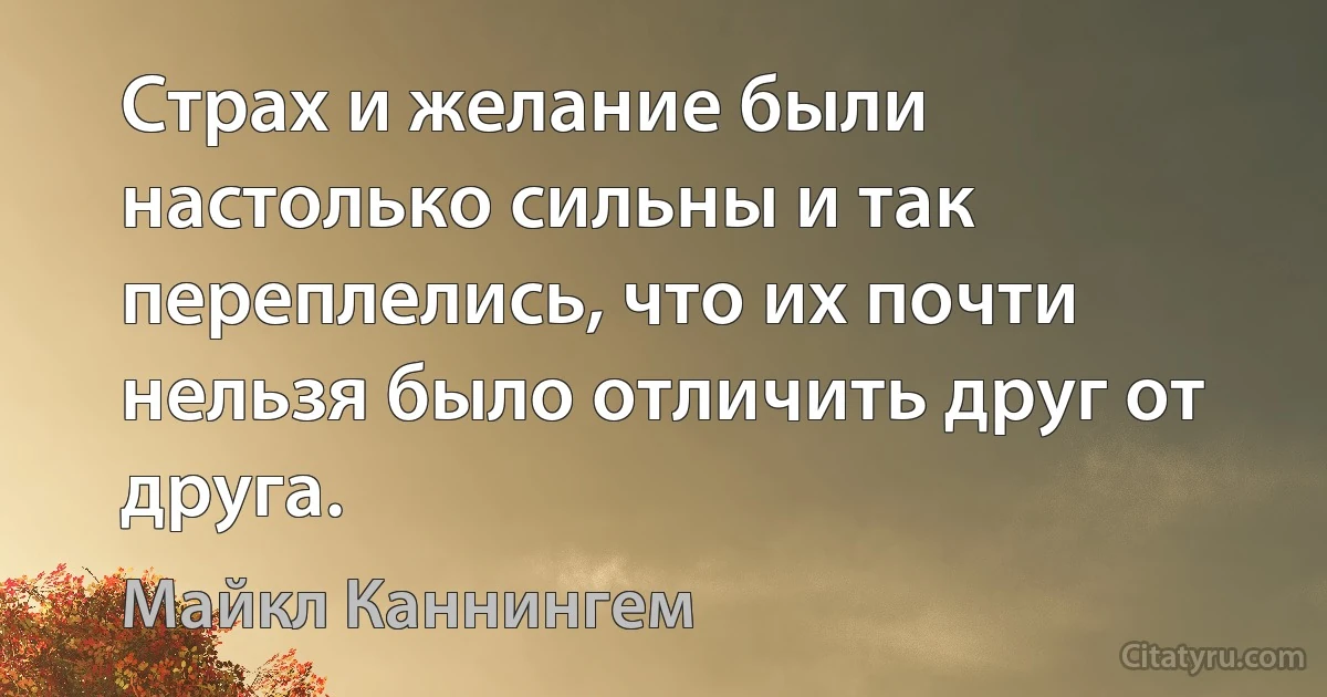 Страх и желание были настолько сильны и так переплелись, что их почти нельзя было отличить друг от друга. (Майкл Каннингем)