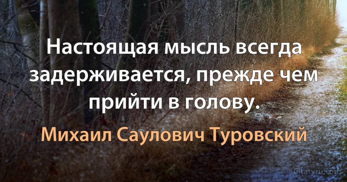 Настоящая мысль всегда задерживается, прежде чем прийти в голову. (Михаил Саулович Туровский)